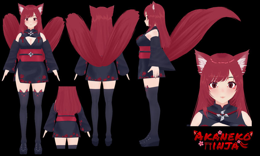 Akane 2.0 Model